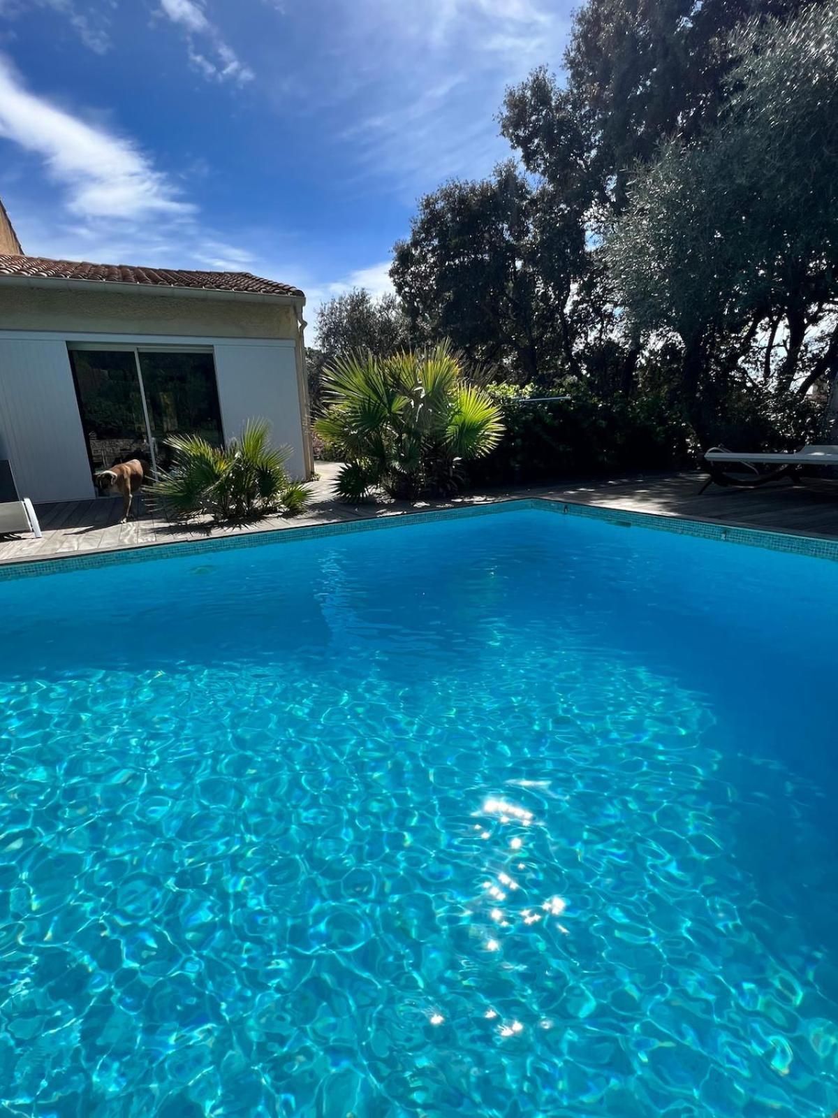 Le Havre De Paix En Garrigue 4 Chambres 3 Sdb Piscine Bezouce Luaran gambar